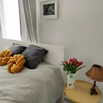 Morze Sztuki Iii, Apartmán