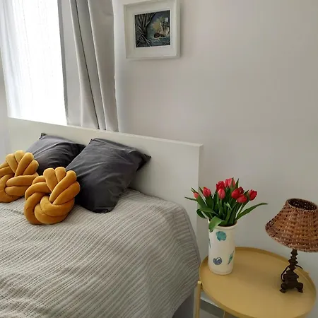 Morze Sztuki Iii, Apartmán