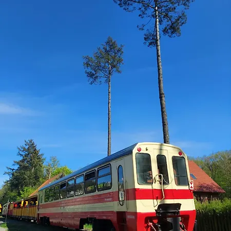 Morze Sztuki Iii, Apartmán *