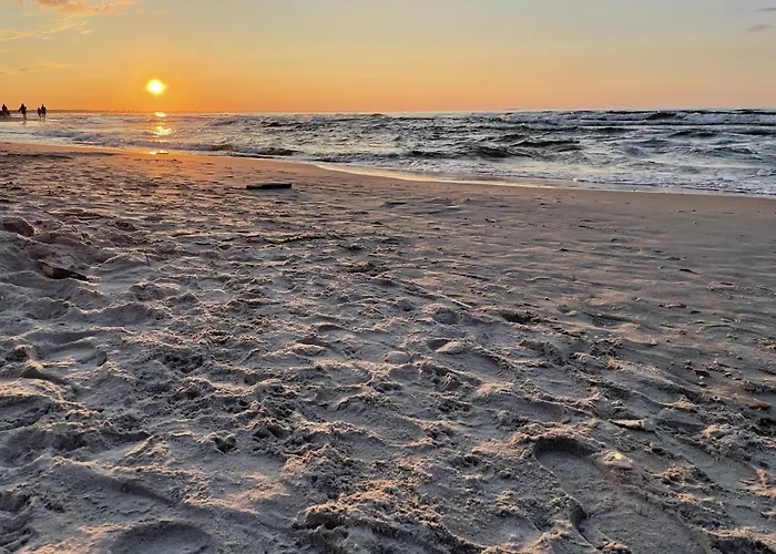 Morze Sztuki Iii, Appartement Jantar