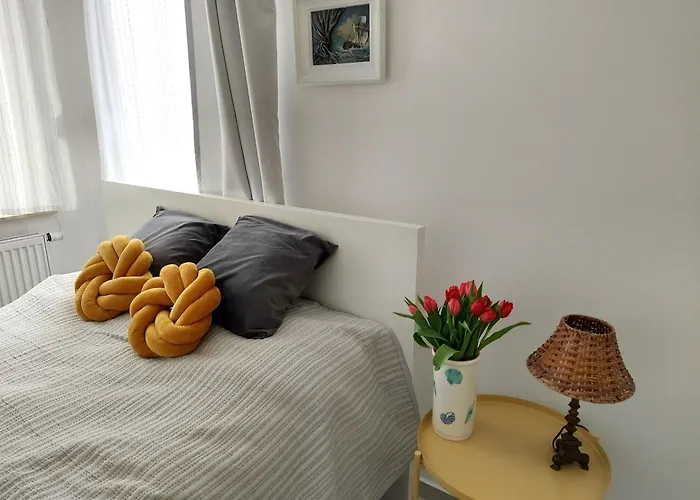 Morze Sztuki Iii, Appartement